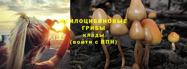 гашик Верхнеуральск