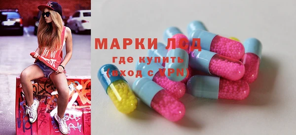 дживик Верхний Тагил