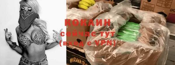 дживик Верхний Тагил