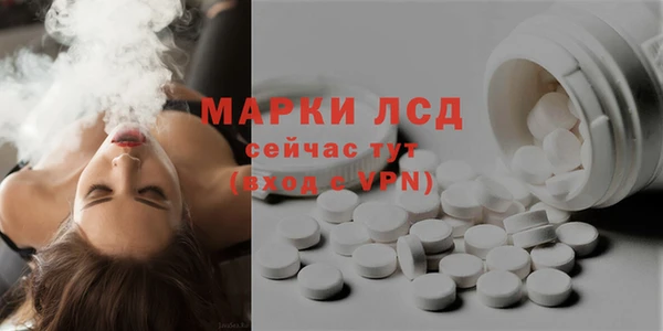 дживик Верхний Тагил