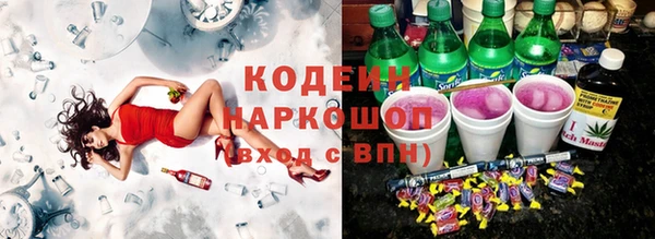 дживик Верхний Тагил