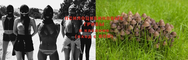 мяу мяу кристалл Верея