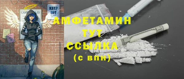 дживик Верхний Тагил